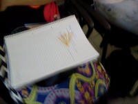 /album/fotogaleria/a2015-11-11-15-37-38ifd-pando-jpg/